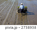 田植え作業
