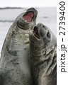 2739400