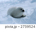 2739524