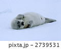 2739531