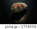2739558