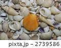 2739586