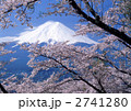 富士と桜