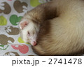 2741478