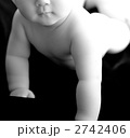 2742406