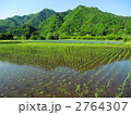 水田