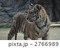 日本平動物園