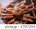 松葉ガニ　松葉がに　蟹