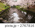 春の桜満開の弘前城公園のお堀