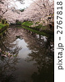 春の桜満開の弘前城公園のお堀