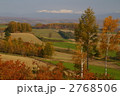 2768506