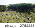 植樹祭