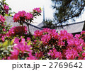 興福寺02