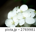 渚目