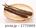 土付きごぼう