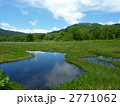 尾瀬国立公園　尾瀬ヶ原の池塘