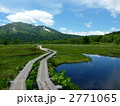 尾瀬国立公園　尾瀬ヶ原の池塘