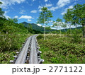 尾瀬国立公園　尾瀬ヶ原の木道