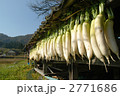 大根干し