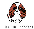 キャバリア犬イラスト