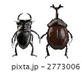 クワガタとカブトムシ