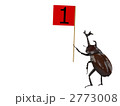 カブトムシ
