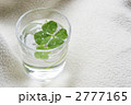 四つ葉と水玉