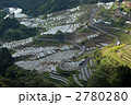 千枚田