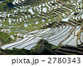 千枚田