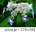 瀬戸の月