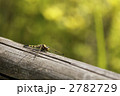 『なんでモテないの??』