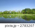 岩手山と田園風景