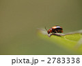 どうかしましたか??