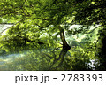 森の池