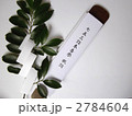 七五三祝詞+玉串
