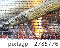 秋刀魚と炭火の炎