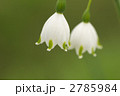 2785984