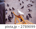 2789099