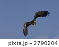 眼差し