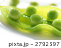 エンドウ豆_スナップエンドウ