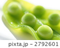 エンドウ豆_スナップエンドウ