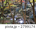 花貫渓谷