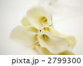 2799300