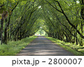 2800007