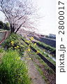 2800017