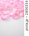 薔薇の花びらと空間