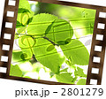 ネガフィルムと譜面
