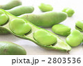 そら豆