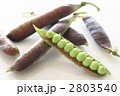 ツタンカーメンのえんどう豆