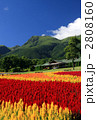 久住高原